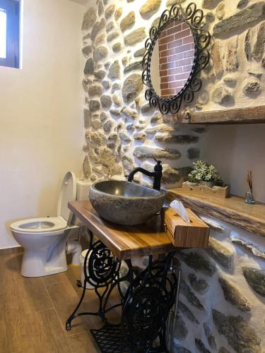 a bathroom with a sink and a toilet at Casa de Piatra in Porumbacu de Sus