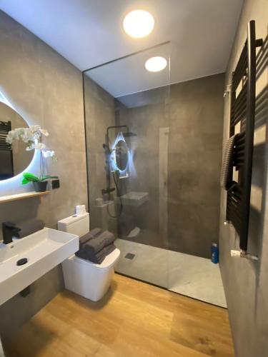 a bathroom with a shower and a toilet and a sink at Cornelia Suites 01 in Santander