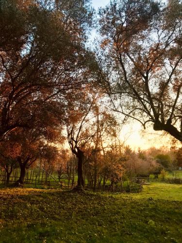 Φυσικό τοπίο κοντά σε αυτή η παραθεριστική κατοικία