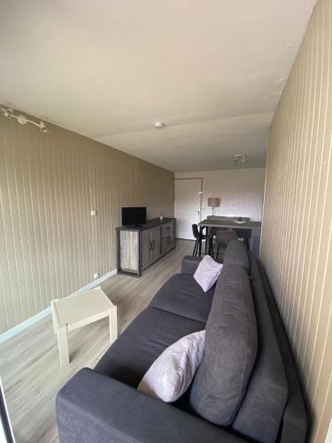 un salon avec un canapé et une table dans l'établissement AU BORD DU LAC, à Soustons