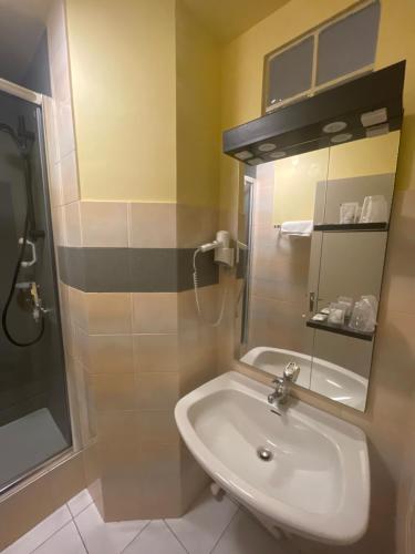 y baño con lavabo y ducha. en Auberge du pont canal, en Briare