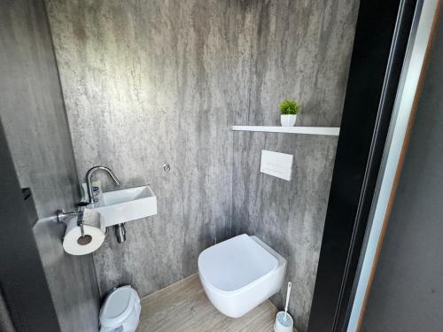 a bathroom with a white toilet and a sink at Woodlakes Park By Liv Retreats in Kings Lynn