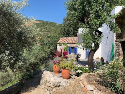 The Donkey House, Pragmatefti