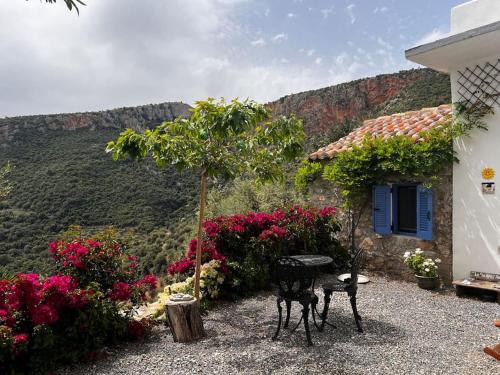 Κήπος έξω από το The Donkey House, Pragmatefti