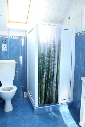 ein Bad mit einem WC und einer Dusche mit einem Duschvorhang in der Unterkunft SZÁSZ&SZÁSZ PANZIÓ in Gheorgheni
