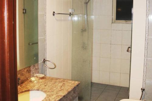 可倫坡的住宿－Entire 3 Bed Room Luxurious Apartment in Colombo 8，带淋浴、水槽和淋浴的浴室
