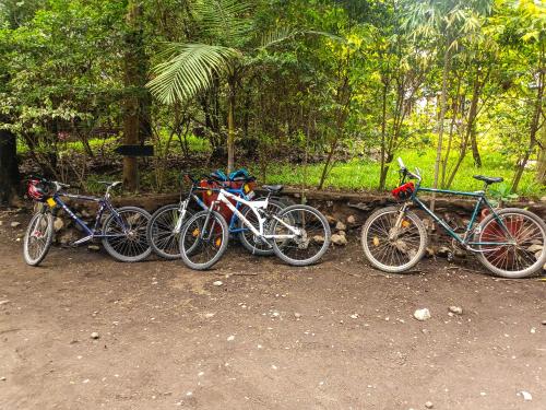 Jízda na kole v ubytování Shamba Hostel nebo okolí