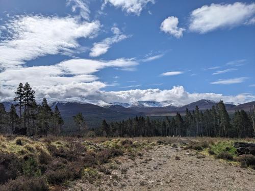 a dirt road in a field with mountains in the background at Orange Squirrel Lodge in Aviemore