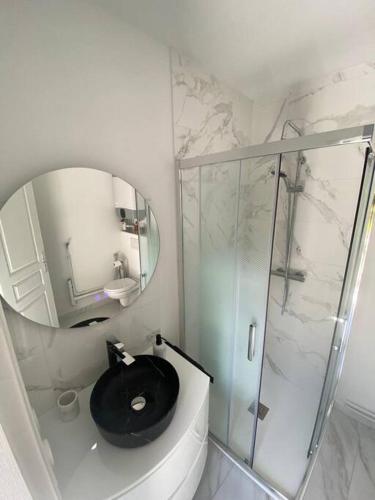 ein Bad mit einem schwarzen WC und einem Spiegel in der Unterkunft Tiny House DALIA Jardin & forêt 10 min de la gare in Dammarie-les-Lys