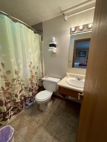 a bathroom with a toilet and a sink and a shower curtain at Spillover Motel and Inn in Stratton
