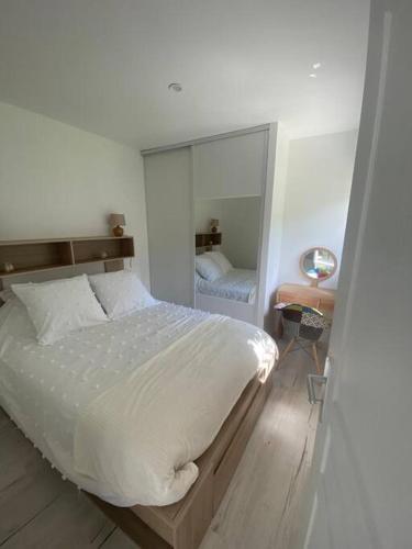 ein Schlafzimmer mit einem großen Bett und einem Spiegel in der Unterkunft Tiny House DALIA Jardin & forêt 10 min de la gare in Dammarie-les-Lys