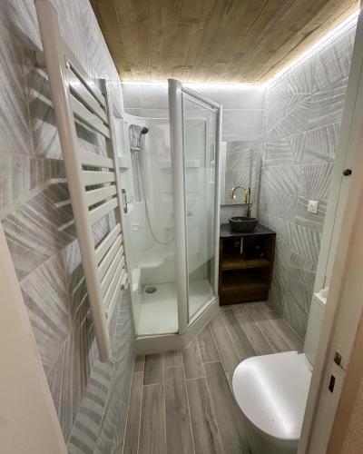 a small bathroom with a shower and a toilet at Le Nichoir in Le Tholy