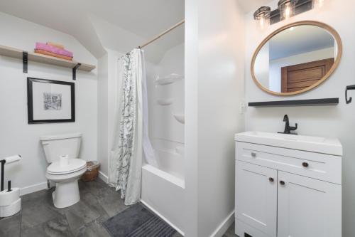 a bathroom with a toilet and a sink and a mirror at Clinton Street Retreat -Dog Friendly- Close to downtown in South Haven