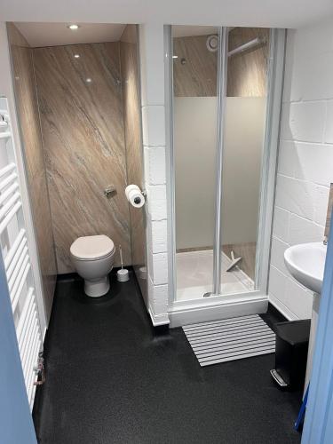 a bathroom with a shower and a toilet and a sink at The Lodge in Sidlesham