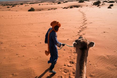 a man walking in the desert with a camel at Kam Kam Dunes in Merzouga