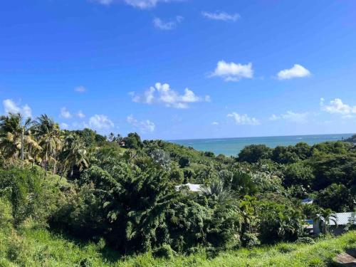 vista sull'oceano da una collina alberata di Appartement T2 tout confort au François a Le François