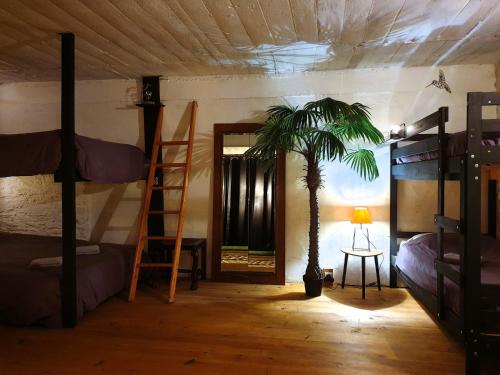 Le Deck'Halage في Malestroit: غرفة بها سرير بطابقين ونخلة