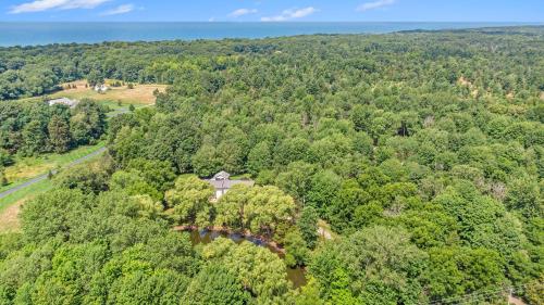 an aerial view of a house in the middle of a forest at Lily Pond Haven - Private Hot tub - Large recently remodeled home! in Glenn