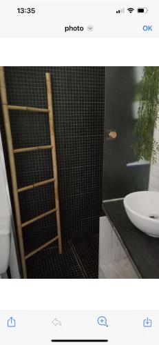 La salle de bains est pourvue d'une échelle et d'un lavabo. dans l'établissement Studio à 100 m de la mer, à La Grande Motte