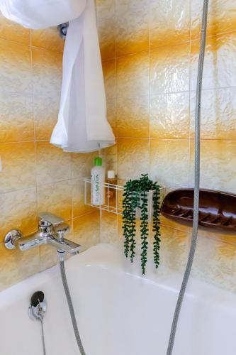 Apartment Lauma