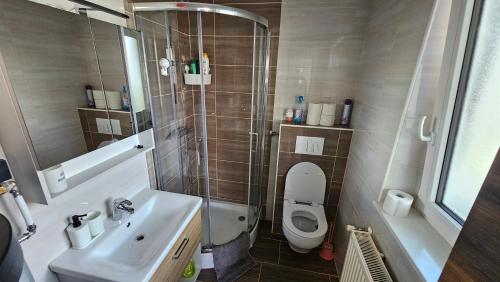 a bathroom with a shower and a toilet and a sink at Office Escape - holiday home in Terme Čatež in Brežice