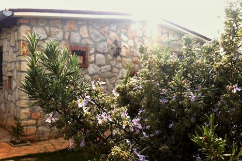 Stone Corner I Ruhiges Steinhaus mit Garten nahe Rovinj & Meer
