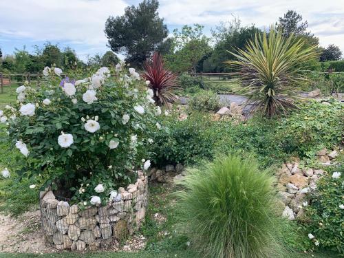 a garden with flowers and plants in a yard at BROSSARD in Cavaillon