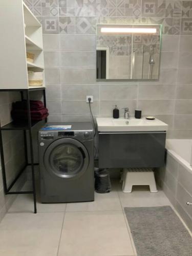 une salle de bain avec une machine à laver et un lavabo dans l'établissement Logement cosy climatisé avec parking, à Aix-en-Provence