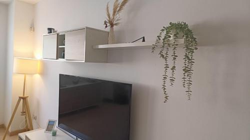 a living room with a tv and a plant on a wall at Lo piset del Delta: Apartamento con piscina para 4 in L'Aldea