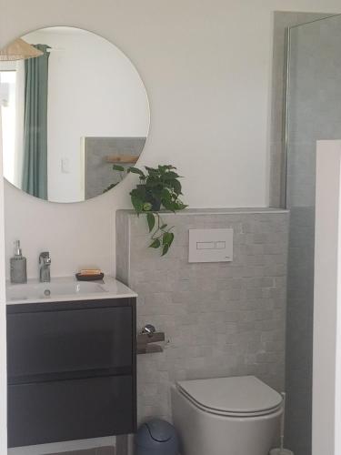 a bathroom with a sink and a toilet and a mirror at F3 Le Carbet des Anges in Le Carbet