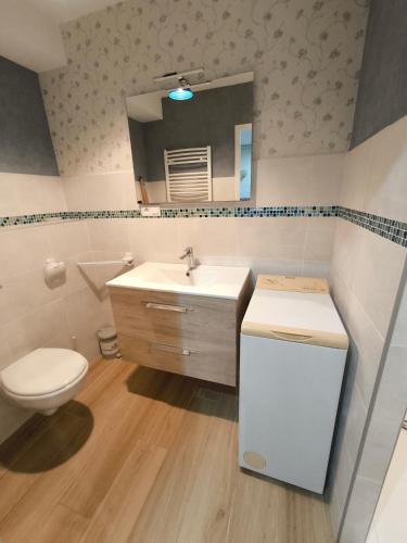 une salle de bain avec un lavabo, des toilettes et un miroir dans l'établissement Maison au pied de la vielle ville du Puy en Velay, au Puy-en-Velay