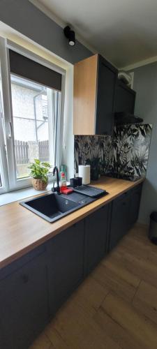 Η κουζίνα ή μικρή κουζίνα στο BŁĘKITNA 37 apartamenty
