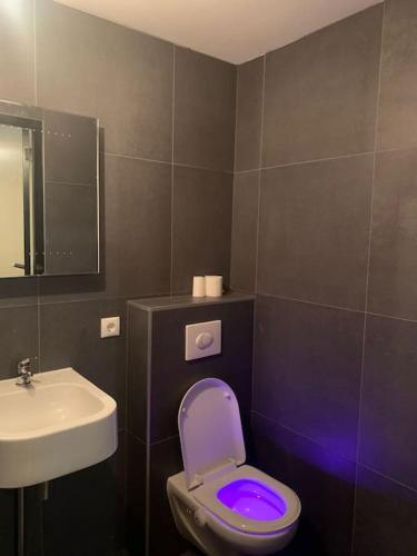 a bathroom with a purple toilet and a sink at tuinhuis in Harmelen