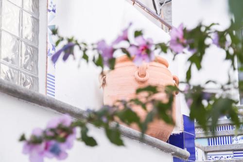 a fire hydrant on the side of a building with flowers at Villa Giulia - Vesuvio Guest House Pompei Sorrento in Boscotrecase