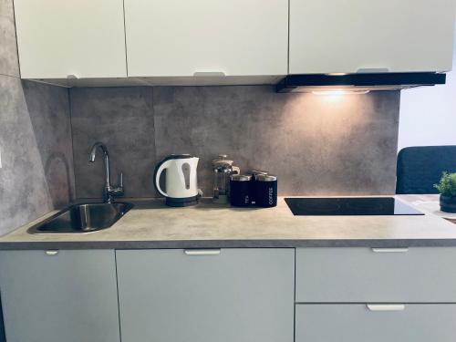 a kitchen with a sink and a counter top at Enes Apartments Legnicka Street 59D in Wrocław
