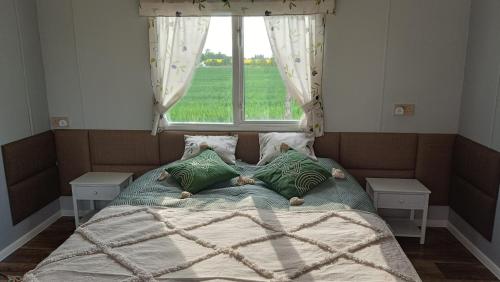 - une chambre avec un grand lit et une fenêtre dans l'établissement Ranczo Tomaszówka Domek w Polu, 