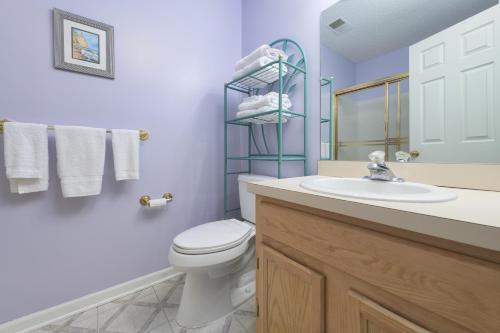 a bathroom with a toilet and a sink and a mirror at Parkshores 4 - community pool & steps to Lake MIchigan beaches! in South Haven