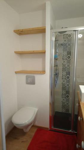 une salle de bain avec toilettes et douche en verre dans l'établissement Studio Bettex 4p- vue Mont-Blanc, à Saint-Gervais-les-Bains