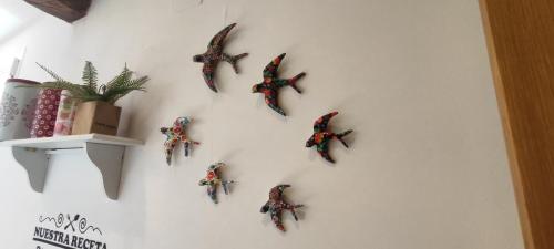 a group of butterflies hanging on a wall at El Rincon de Ale in Cuenca