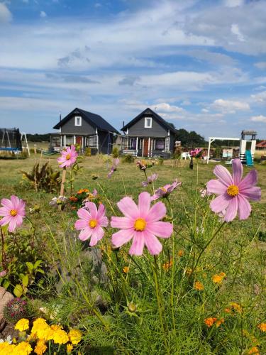 a field of flowers with houses in the background at Domki u Jagodzianki in Smołdziński Las
