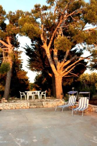 Foto dalla galleria di Affittasi Trullo il Gelso - Ostuni a Carovigno