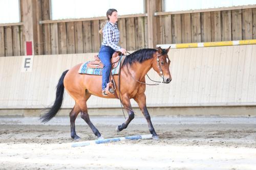 a young man riding on a brown horse at Sonnenhof, Ferienwohnung auf Reitanlage in Albstadt