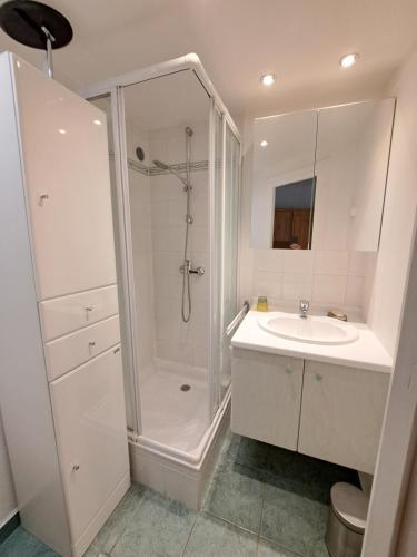 Koupelna v ubytování Studio au coeur d'Avoriaz - 4 pers - vue splendide