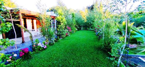 a garden with many plants and flowers in it at Cabañas con Tinaja 4 a 6 personas in Quillón