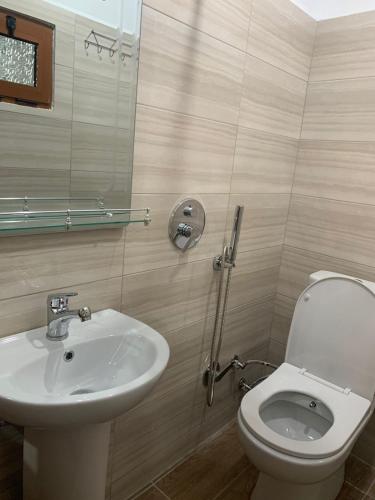 La salle de bains est pourvue de toilettes blanches et d'un lavabo. dans l'établissement City Center apartments, à Përmet