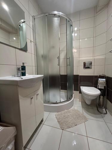 W łazience znajduje się prysznic, toaleta i umywalka. w obiekcie Mazurek Pokoje do wynajęcia w mieście Zełwągi