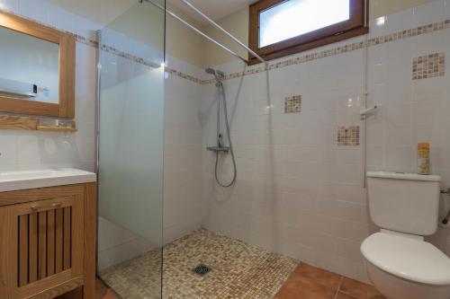 a bathroom with a shower with a toilet and a sink at La Ferme Montplaisir in Montesquieu-Volvestre