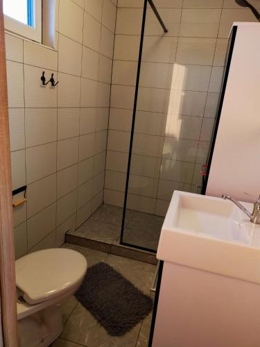 a bathroom with a shower and a toilet and a sink at Domki u Jagodzianki in Smołdziński Las