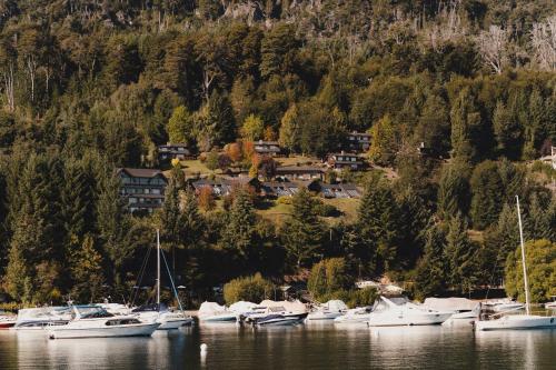 a bunch of boats are docked in a harbor at Marinas Alto Manzano in Villa La Angostura