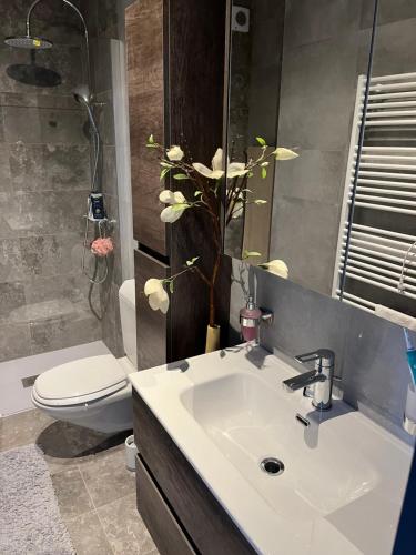 ein Badezimmer mit einem Waschbecken, einem WC und einem Spiegel in der Unterkunft Paradiso in Locarno
